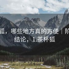 茶杯狐，哪些地方真的方便｜阶段性结论，1.茶杯狐