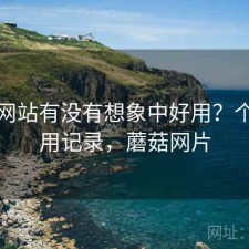 蘑菇网站有没有想象中好用？个人使用记录，蘑菇网片