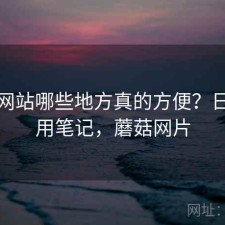 蘑菇网站哪些地方真的方便？日常使用笔记，蘑菇网片