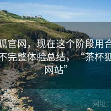 茶杯狐官网，现在这个阶段用合不合适｜不完整体验总结，“茶杯狐官方网站”
