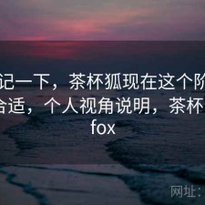 随手记一下，茶杯狐现在这个阶段用合不合适，个人视角说明，茶杯狐cuofox