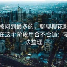 后台被问到最多的，聊聊樱花影院入口现在这个阶段用合不合适：零碎想法整理