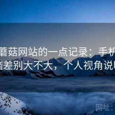 关于蘑菇网站的一点记录：手机和电脑差别大不大，个人视角说明