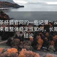 关于茶杯狐官网的一些记录：从效率角度来看整体稳定性如何，长期使用结论