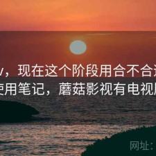蘑菇tv，现在这个阶段用合不合适｜日常使用笔记，蘑菇影视有电视版吗