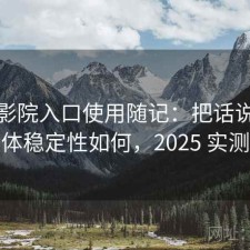 樱花影院入口使用随记：把话说直一点整体稳定性如何，2025 实测整理