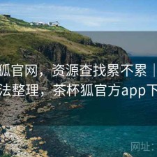 茶杯狐官网，资源查找累不累｜零碎想法整理，茶杯狐官方app下载
