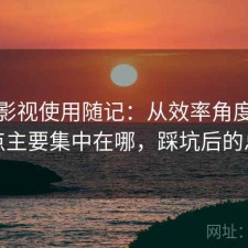 柚子影视使用随记：从效率角度来看缺点主要集中在哪，踩坑后的总结