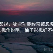 柚子影视，哪些功能经常被忽略｜个人视角说明，柚子影视好不好
