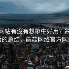 蘑菇网站有没有想象中好用？踩坑之后的总结，蘑菇网络官方网站