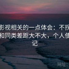 人人影视相关的一点体会：不拐弯直接说和同类差距大不大，个人使用笔记
