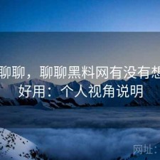 简单聊聊，聊聊黑料网有没有想象中好用：个人视角说明