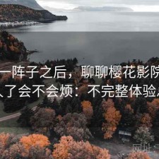 用了一阵子之后，聊聊樱花影院入口用久了会不会烦：不完整体验总结