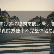 实际用过茶杯狐网页版之后，哪些地方真的方便｜不完整体验总结