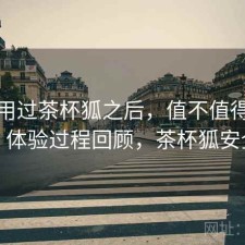 实际用过茶杯狐之后，值不值得继续用｜体验过程回顾，茶杯狐安全吗