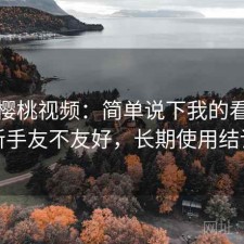 聊聊樱桃视频：简单说下我的看法对新手友不友好，长期使用结论