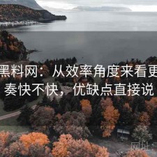 聊聊黑料网：从效率角度来看更新节奏快不快，优缺点直接说