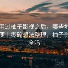 实际用过柚子影视之后，哪些地方真的方便｜零碎想法整理，柚子影视安全吗
