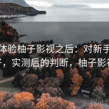 实际体验柚子影视之后：对新手友不友好，实测后的判断，柚子影视pc