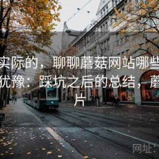 说点实际的，聊聊蘑菇网站哪些点会让人犹豫：踩坑之后的总结，蘑菇网片