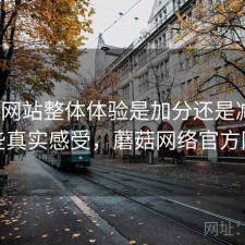 蘑菇网站整体体验是加分还是减分？一些真实感受，蘑菇网络官方网站