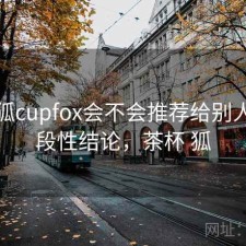 茶杯狐cupfox会不会推荐给别人？阶段性结论，茶杯 狐