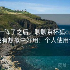 用了一阵子之后，聊聊茶杯狐cupfox有没有想象中好用：个人使用记录