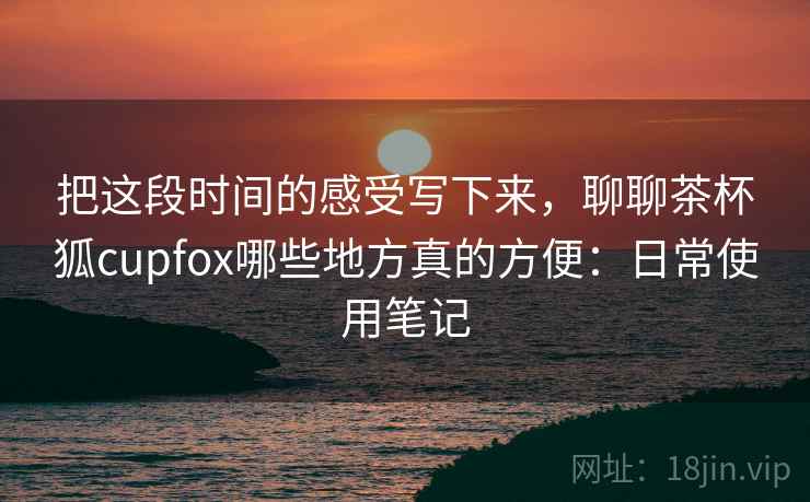 把这段时间的感受写下来，聊聊茶杯狐cupfox哪些地方真的方便：日常使用笔记  第2张