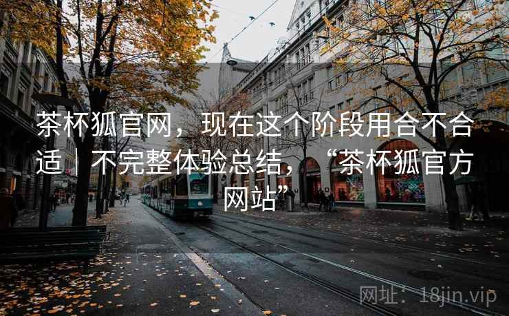 茶杯狐官网，现在这个阶段用合不合适｜不完整体验总结，“茶杯狐官方网站”  第2张